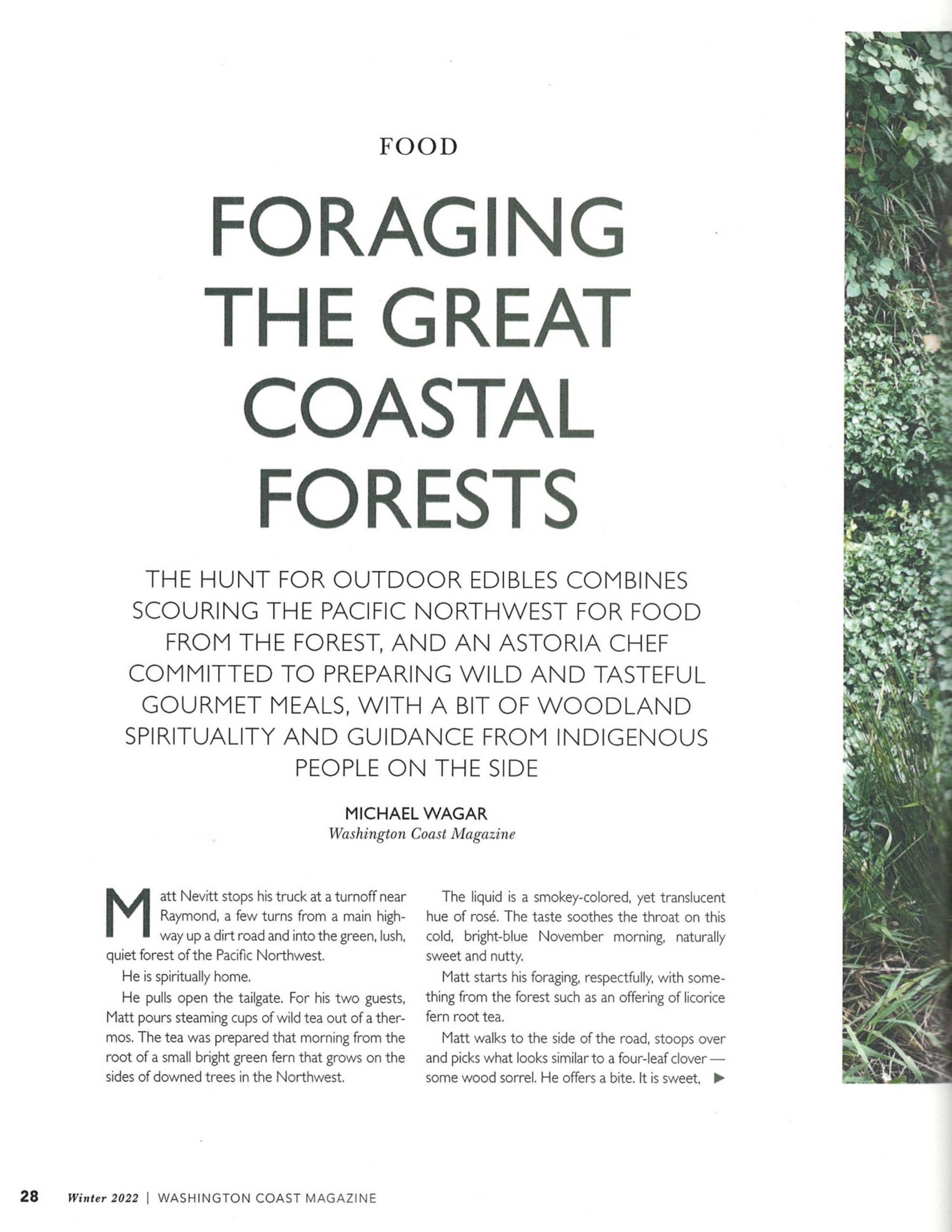 Foraging The Great Coastal Forests