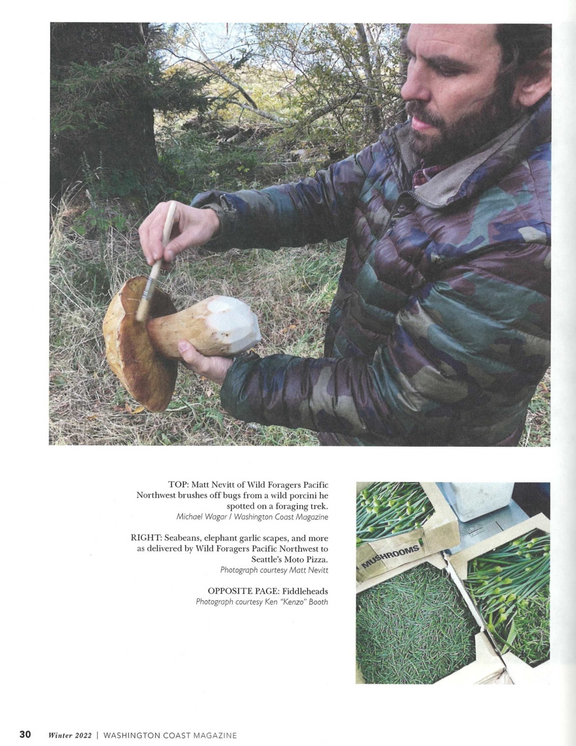 Matt Nevitt, Foraging Expert, Teaching Wild Foraging