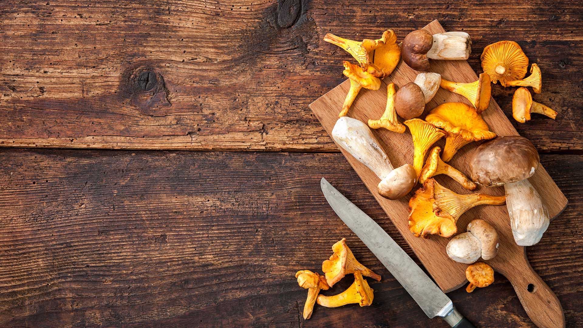 Porcini and chanterelle mushrooms on a cutting board